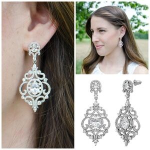 Elegant Silver Drop Earrings